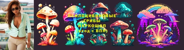 таблы Армянск