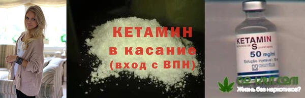 прущие грибы Балабаново