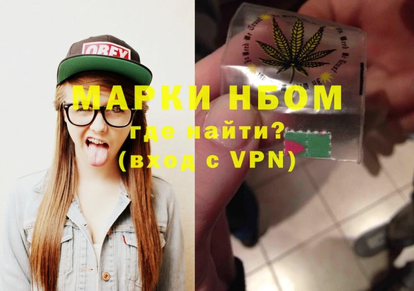 прущие грибы Балабаново