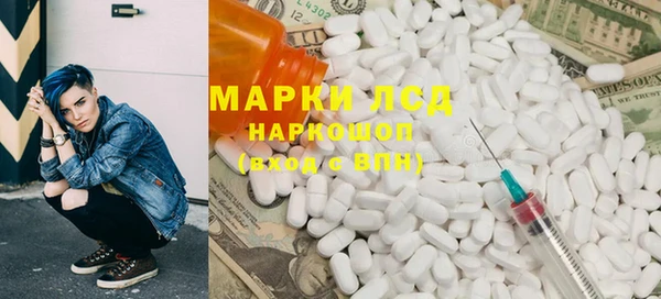 прущие грибы Балабаново