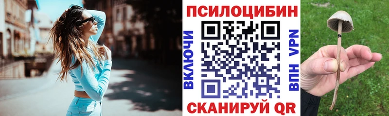 Псилоцибиновые грибы GOLDEN TEACHER купить сайты Бахчисарай