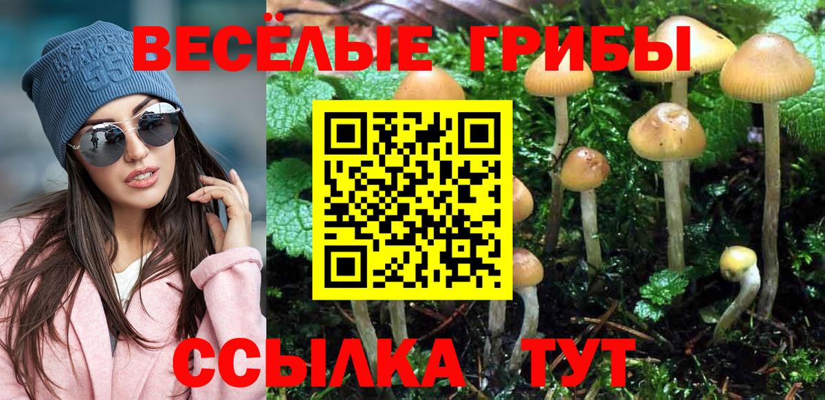 Псилоцибиновые грибы Cubensis Бахчисарай