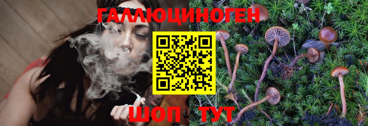 Бахчисарай  Галлюциногенные грибы Psilocybe  наркошоп  Вход с VPN 